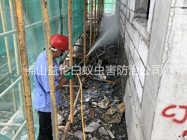 小塘建筑白蟻預(yù)防工程