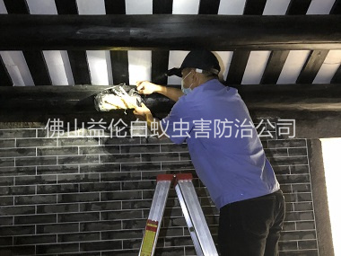 和順祠堂殺滅白蟻工程